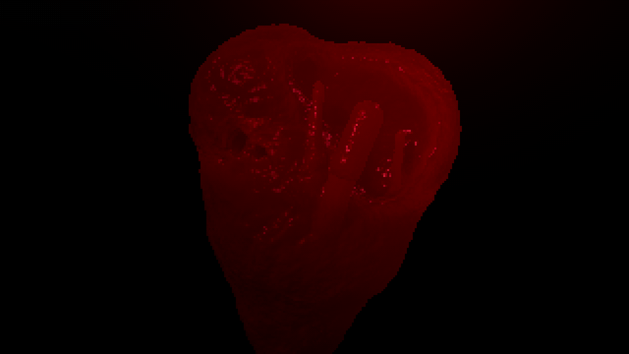 a glossy dark red heart with a crater torn out of the front and two fang punctures low on the body